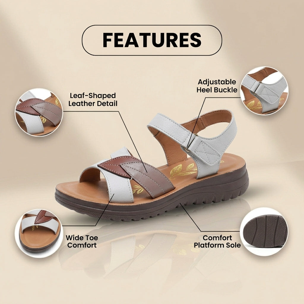 Zapatos Ortopédicos Elegantes para Cada Paso