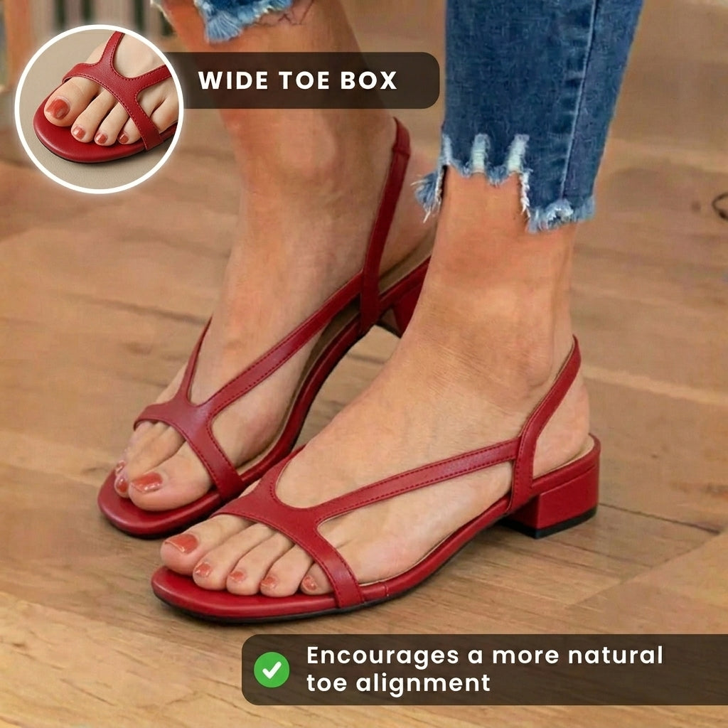 Zapatos Ortopédicos Clásicos con Estilo Atemporal